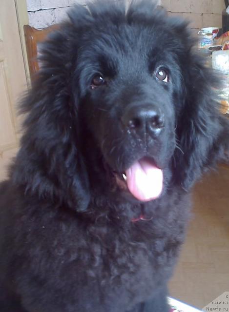 Фото: нам уже три месяца