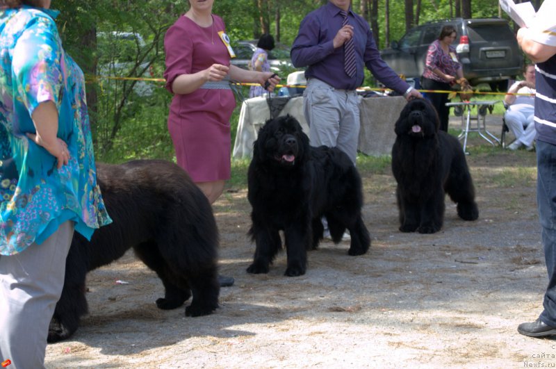 Фотография № 182485