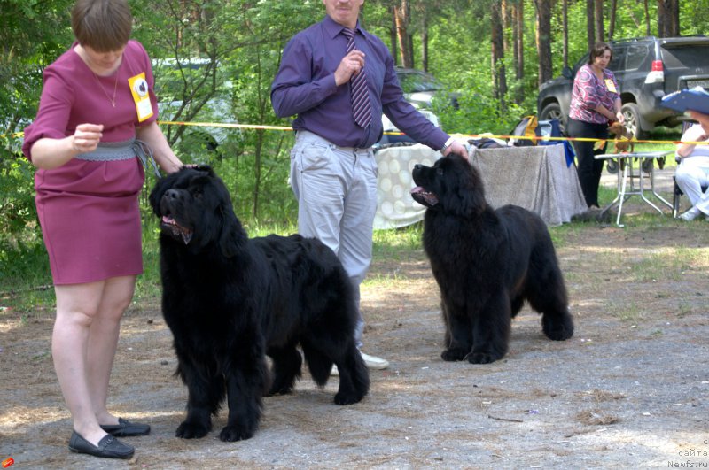 Фотография № 182486