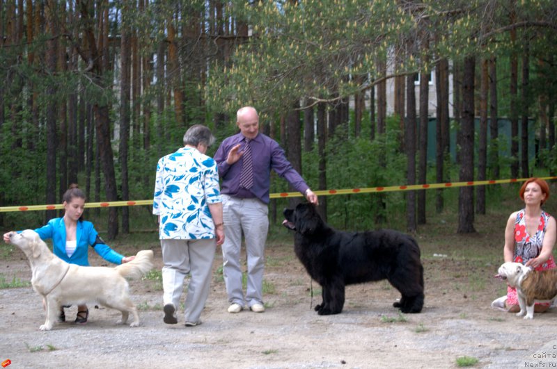 Фотография № 182516