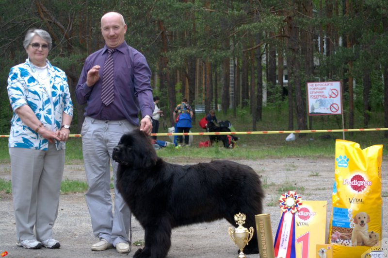 Фотография № 182517