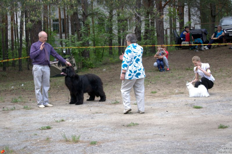 Фотография № 182532