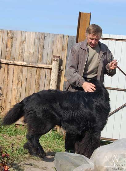 Фотография № 18255