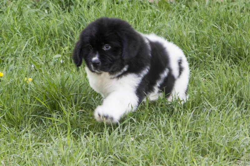 Фотография № 182551