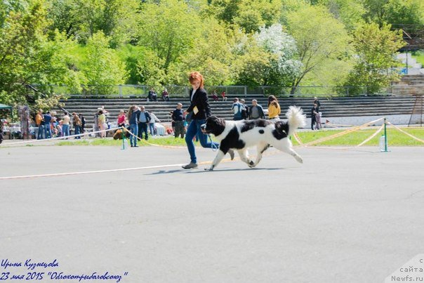 Фотография № 182563