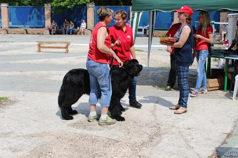 Фотография № 182571