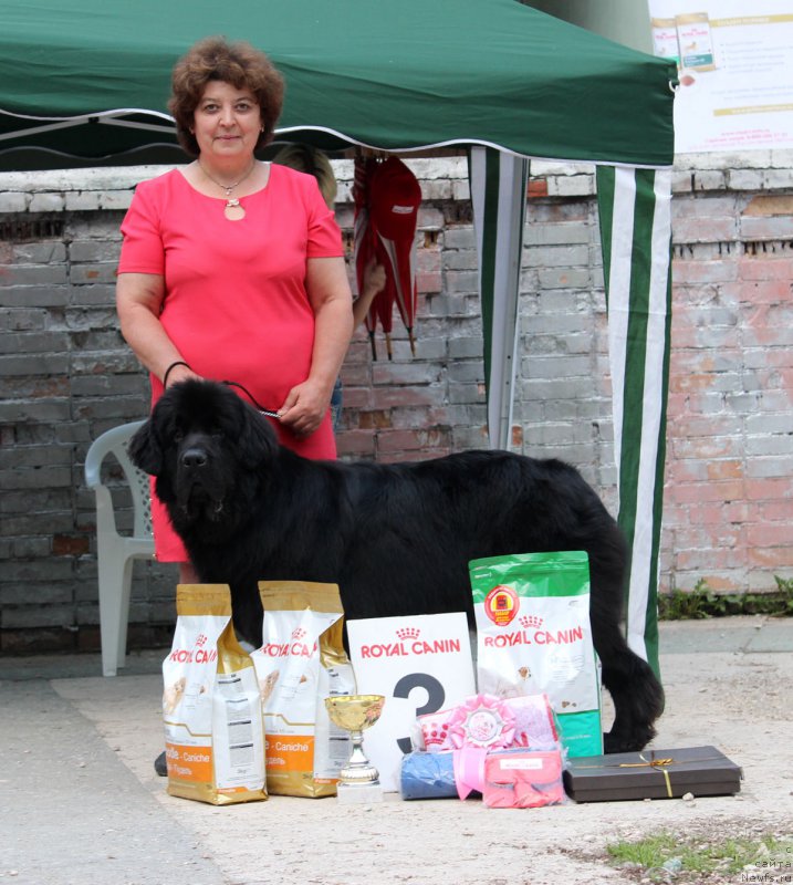 Фотография № 182575