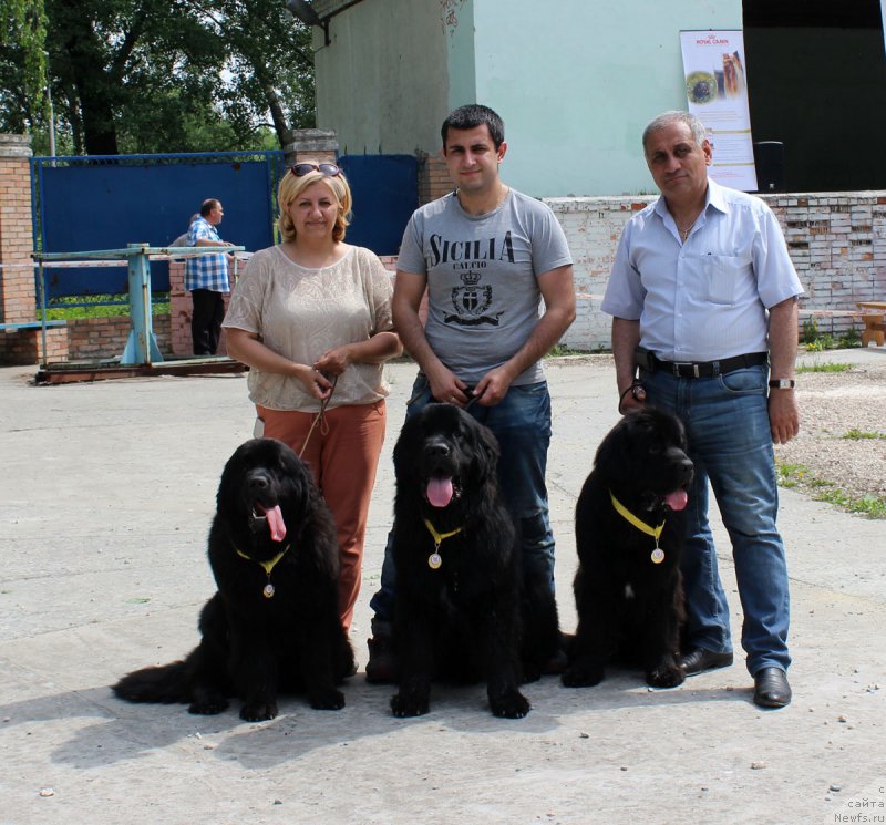 Фотография № 182576