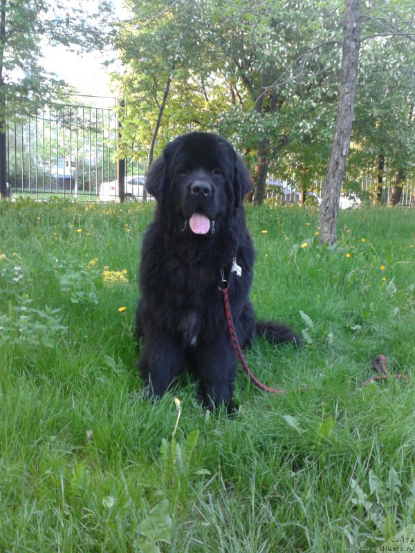 Фото: YUliya YAkusheva (Юлия Якушева)