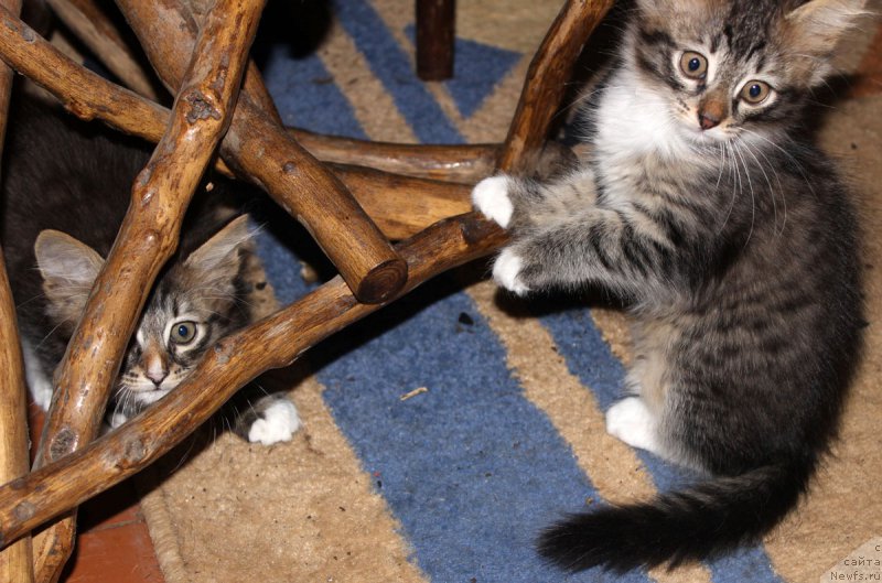 Фотография № 182589