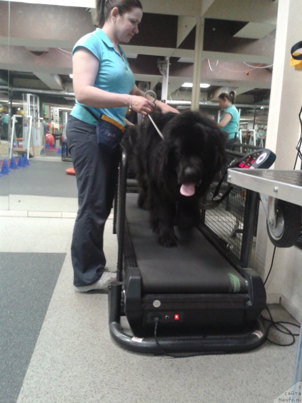 Фотография № 182593