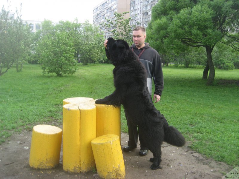 Фотография № 182599