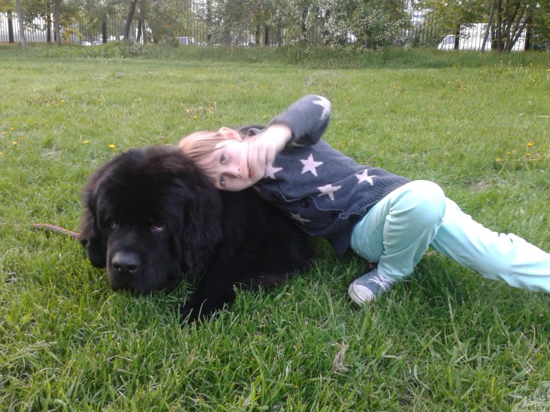 Фотография № 182602