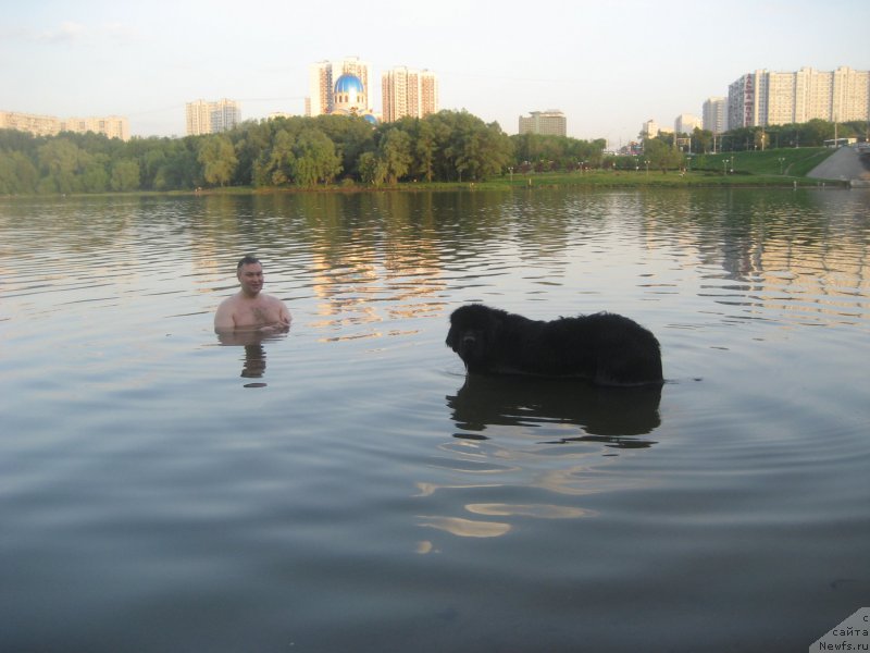 Фотография № 182606