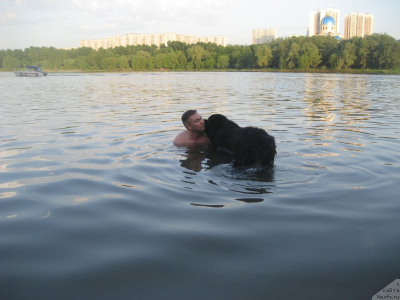 Фотография № 182607