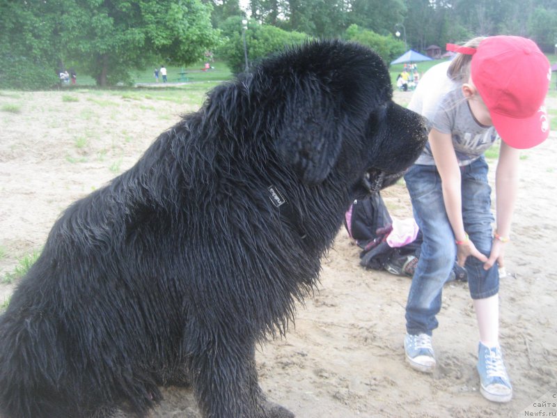 Фотография № 182608