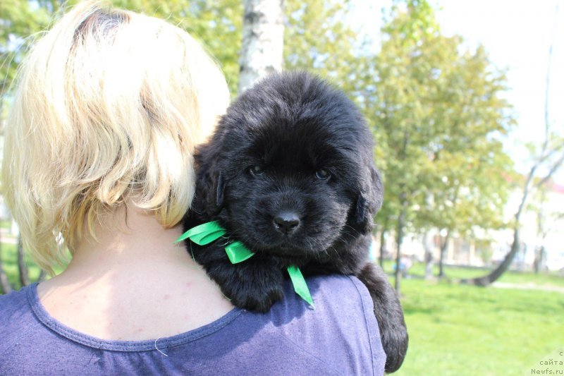 Фотография № 182615