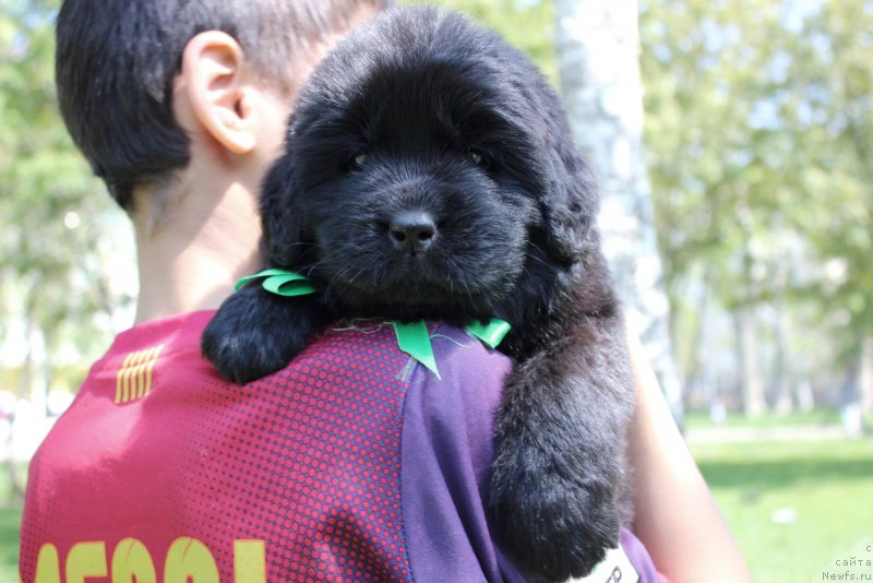 Фотография № 182616