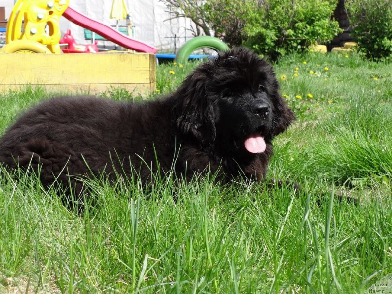 Фотография № 182623