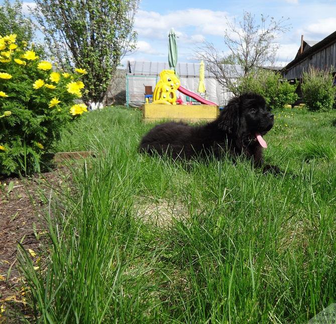 Фотография № 182625