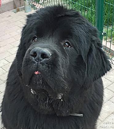 Фотография № 182626