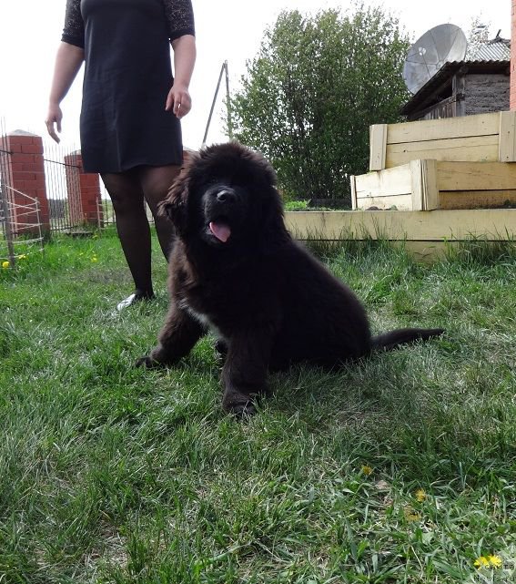 Фотография № 182627