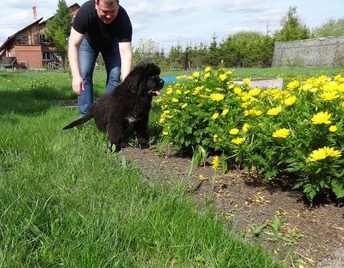 Фотография № 182632