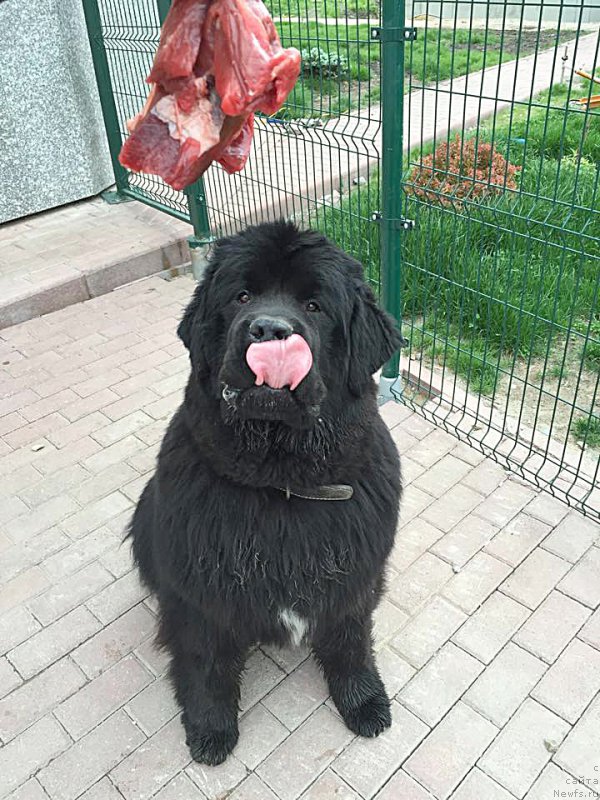 Фотография № 182633