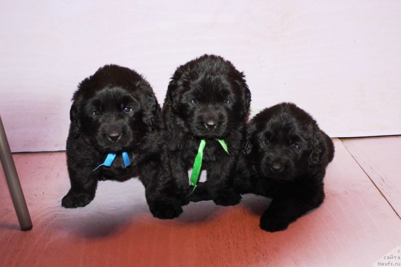 Фотография № 182641