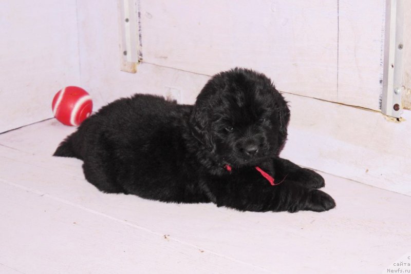 Фотография № 182642