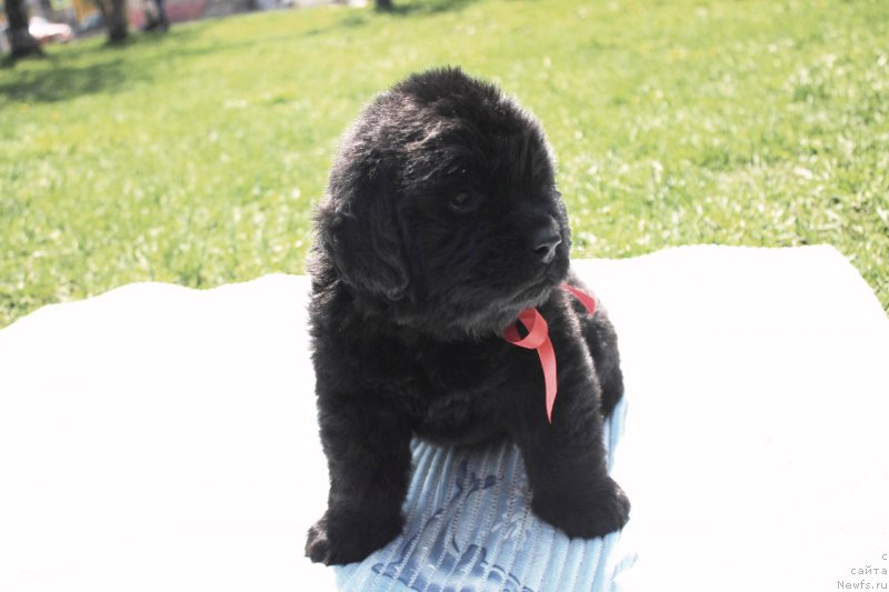 Фотография № 182644