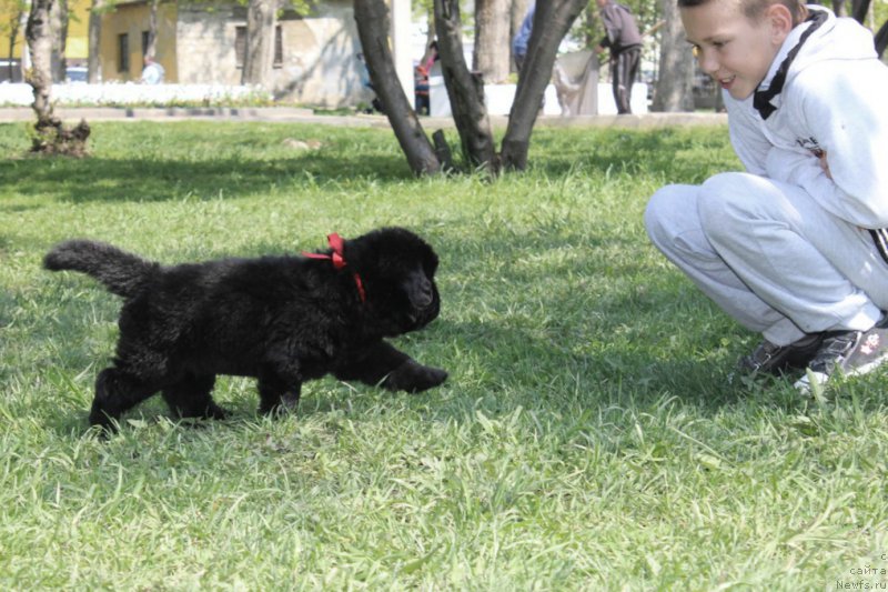 Фотография № 182648