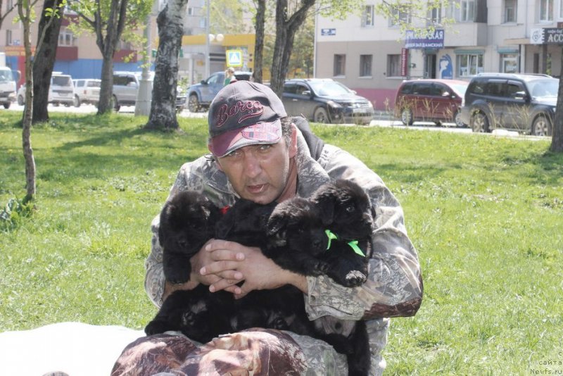 Фотография № 182651