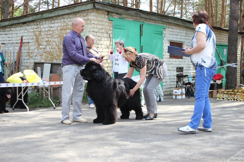 Фотография № 182679