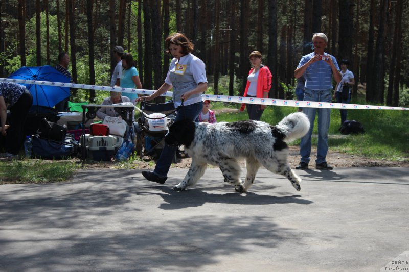 Фотография № 182681