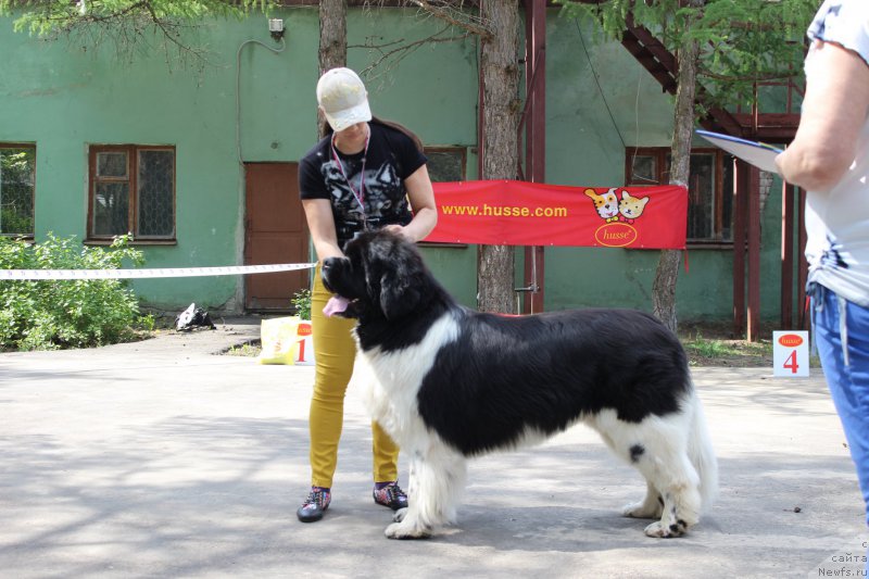 Фотография № 182682