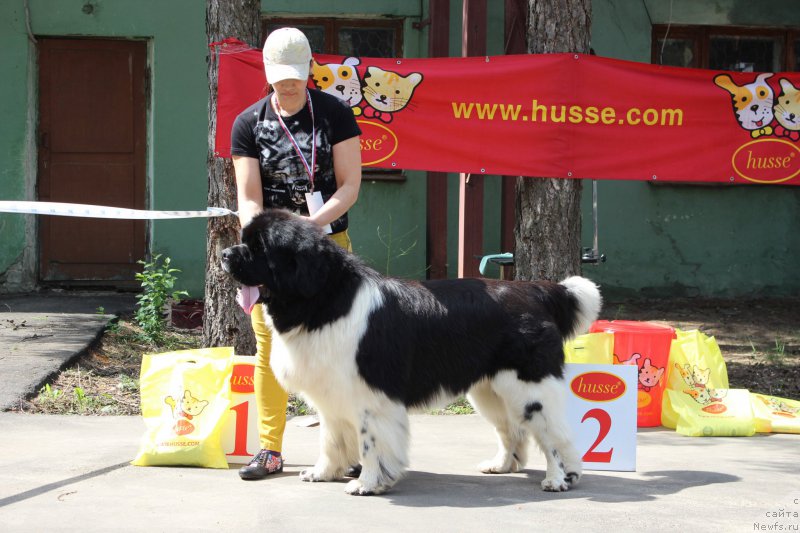 Фотография № 182684