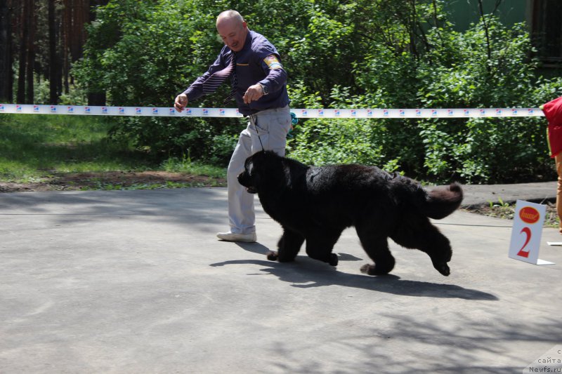 Фотография № 182687