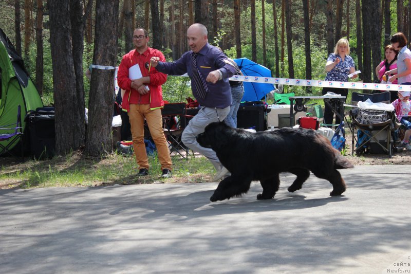 Фотография № 182689