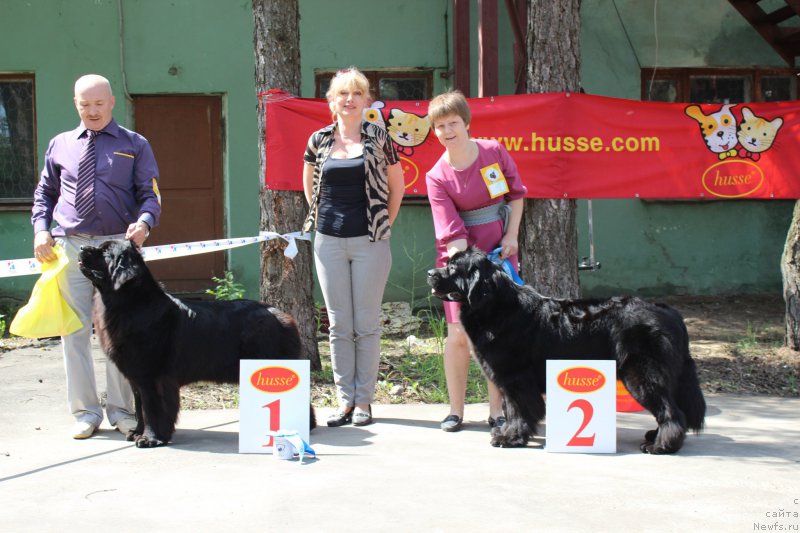 Фотография № 182690