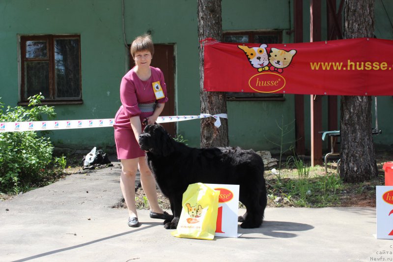 Фотография № 182692