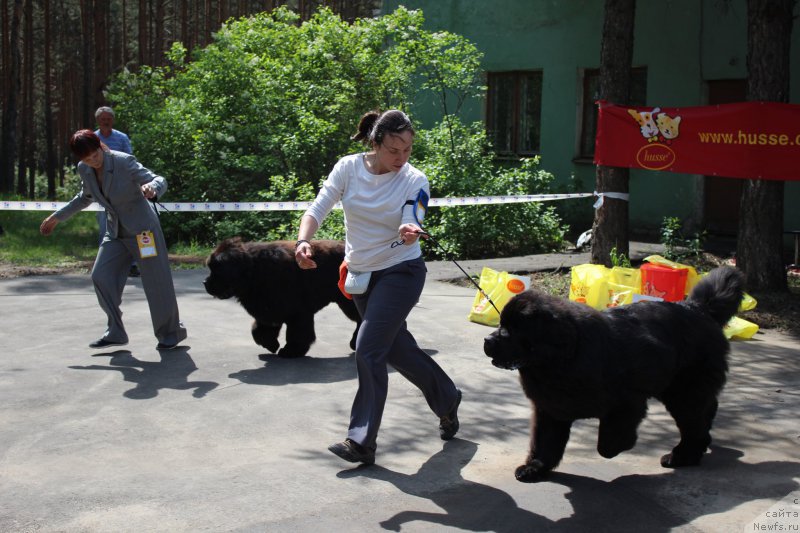 Фотография № 182693