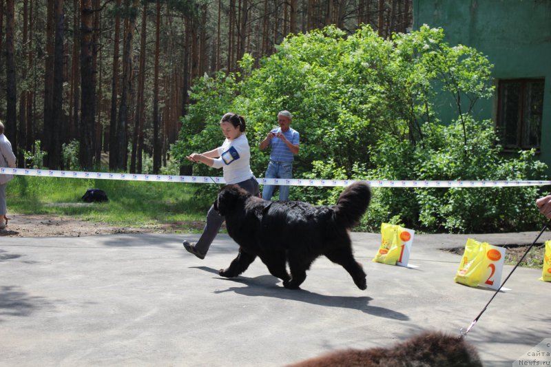 Фотография № 182694