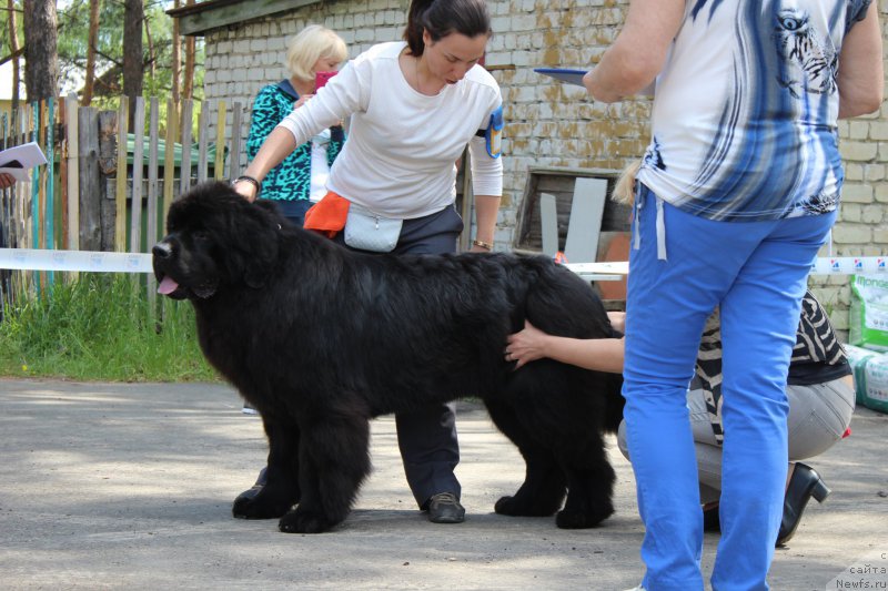 Фотография № 182695