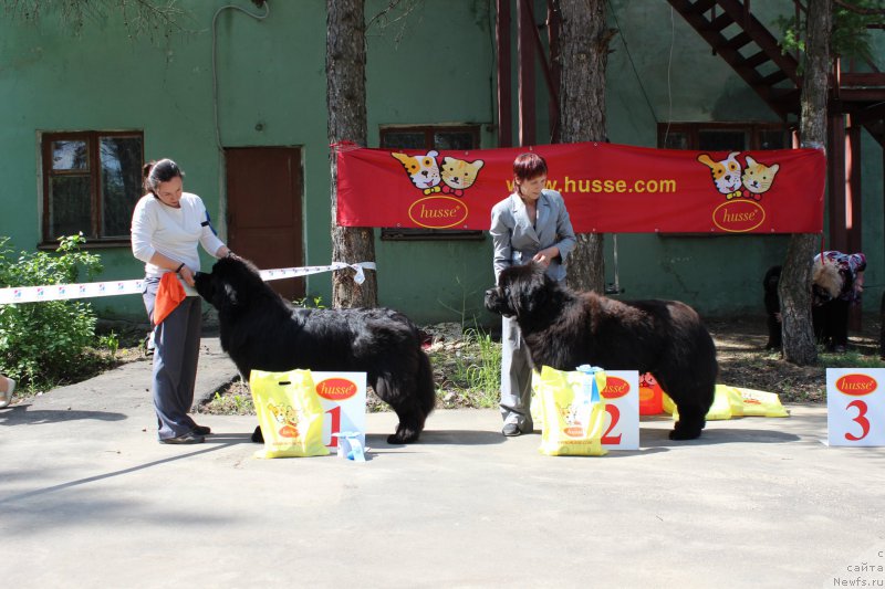 Фотография № 182697