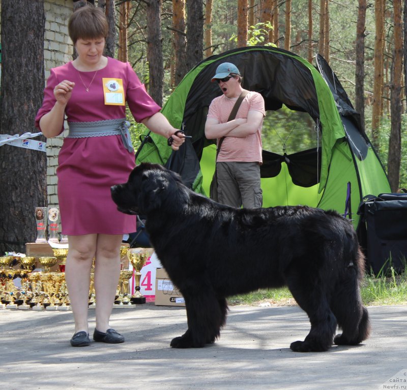 Фотография № 182702