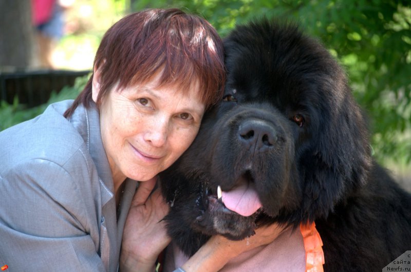 Фото: ньюфаундленд Black Diamond Agidel ot Potapa Chezzario (Блэк Диамонд Агидель от Потапа Чеззарио)