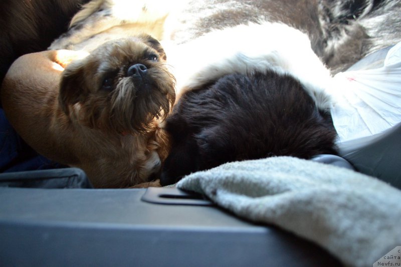 Фотография № 182730