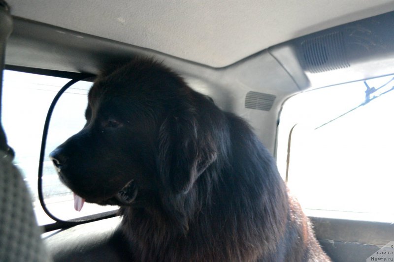 Фотография № 182731