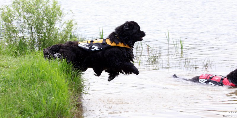 Фотография № 182742